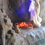 Awildas Abenteuerfahrt