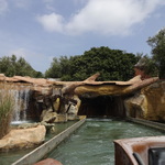 Crocodile Rapids