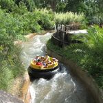 R&aacute;pidos del Orinoco