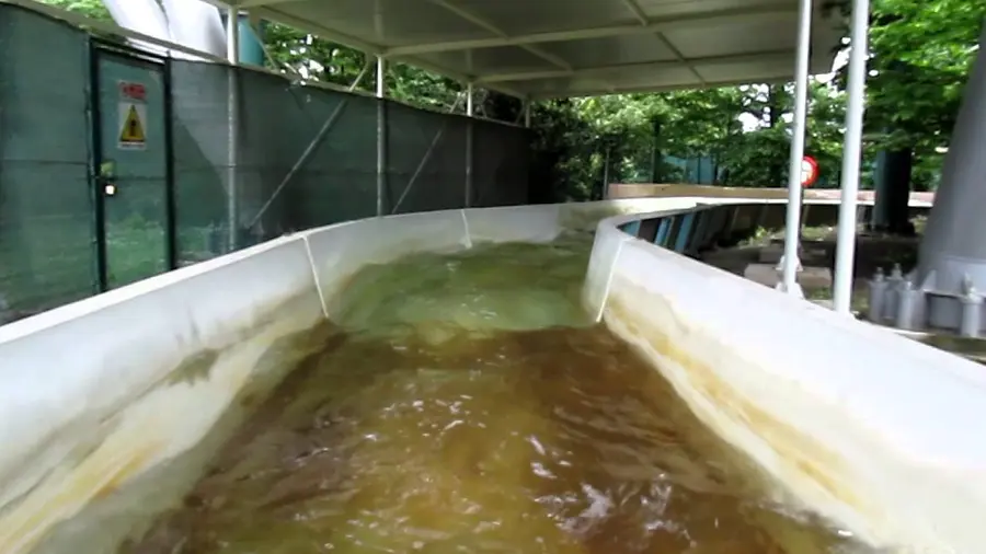 Vídeo de este atracción