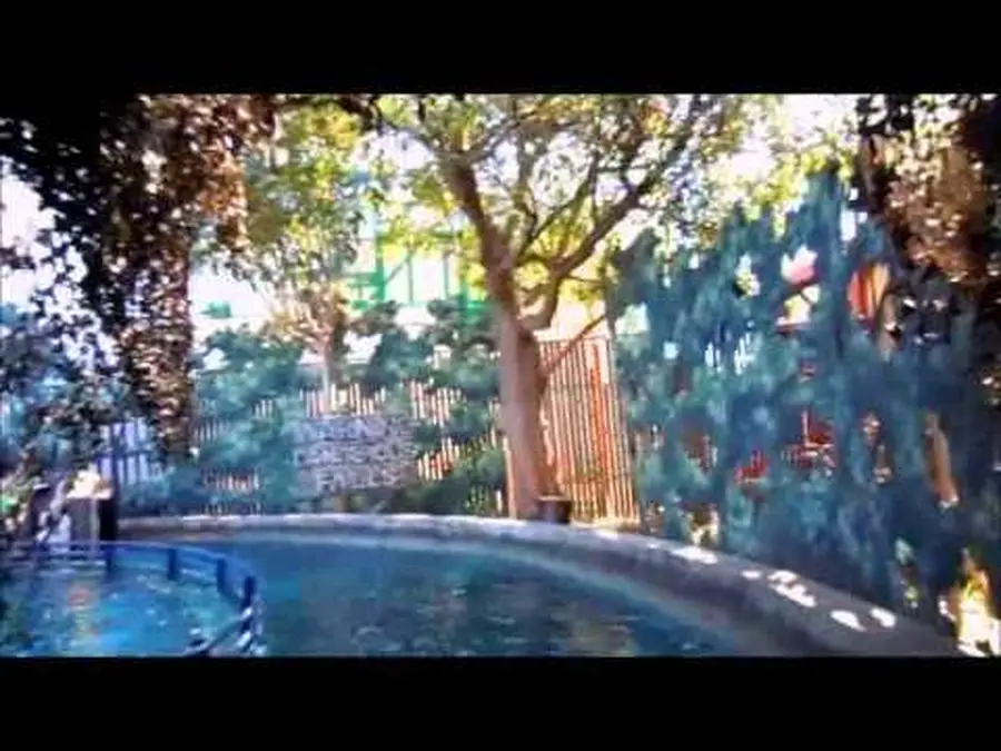 Vídeo de este atracción