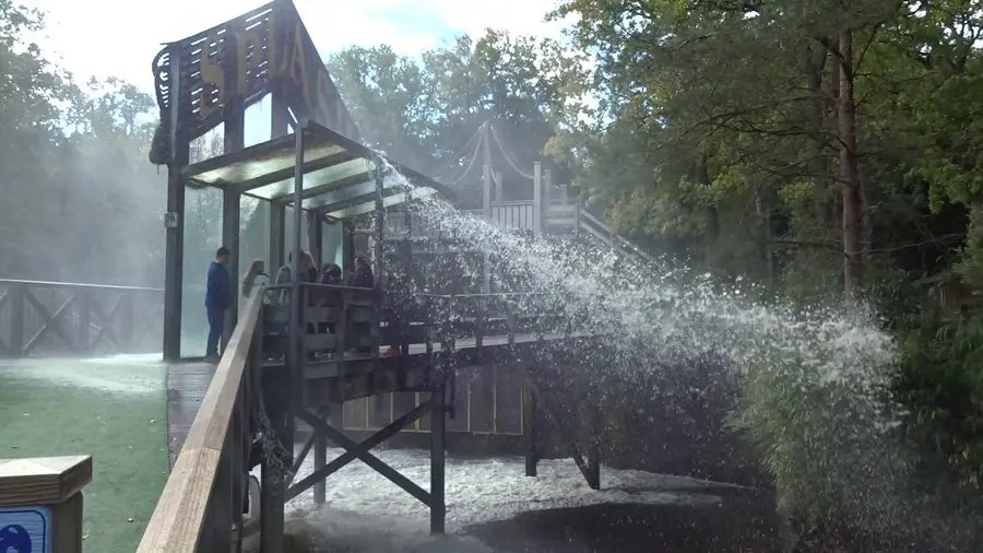 Vídeo de este atracción